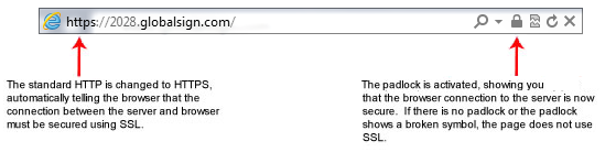 Standard SSL Certificates (such as GlobalSign DomainSSL and OrganizationSSL)